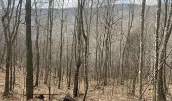 0 TBD Elleber Sods Rd, Bartow, WV 24920