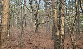 153 ACRES 34.6002 -95.08725, Albion, OK 74571