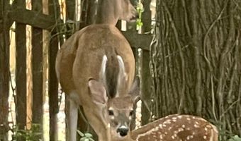 4075 Dream Catcher, Woodstock, GA 30189