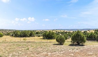 7015 Burnt Mill Rd, Beulah, CO 81023