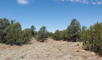 17 County Road 8077, Concho, AZ 85924