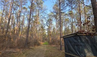 U.S. Highway 51, Bogue Chitto, MS 39629