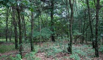 Lot 27 10th Avenue, Adams, WI 53910