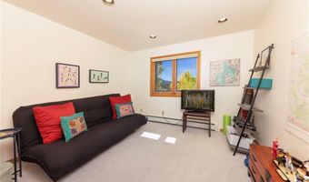 1139 BOREAS PASS Rd, Breckenridge, CO 80424