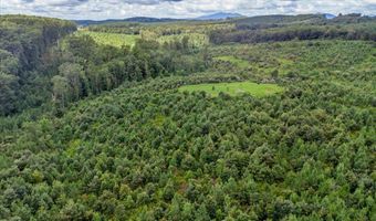 62- Acres Grandmas Hill Rd, Amherst, VA 24521