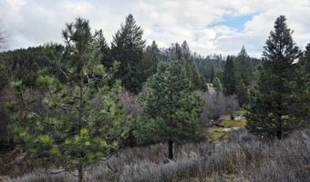 2477 Cedonia-Addy Rd, Addy, WA 99101