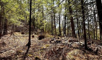 TM 413 L 99 King Road, Alexandria, NH 03222