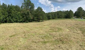000 Mt Pleasant Ln SE, Bogue Chitto, MS 39629