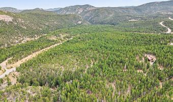 12190 Highway 7, Allenspark, CO 80510