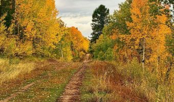 40 ACRES ROBINSON Ln, Bedford, WY 83112