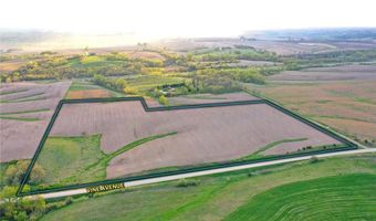 Vine Avenue, Ainsworth, IA 52201