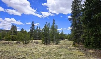 PCS # 10594 Looney Lane lot 0, Alma, CO 80420