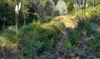 97436 WHISPER Ln, Brookings, OR 97415