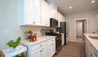 21533 CAPITAN Loop, Harbeson, DE 19951