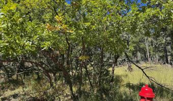 Calle de los Indios lot 101, Angel Fire, NM 87710