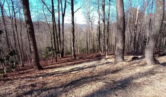 64 Corbin Mountain Rd, Zirconia, NC 28790