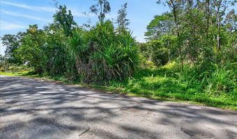 23 RD Ave, Keaau, HI 96749