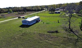 9971 NE 99TH Pl, Archer, FL 32618