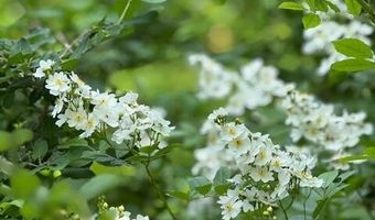 45 Freedom Rd, Belgrade, ME 04917