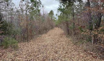 34655 Co Rd 49, Beaverton, AL 35544