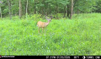 694 A Tunnel Ridge Rd, Argillite, KY 41121