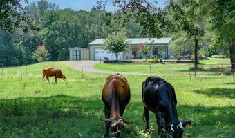 2063 RS County Road 2370 Rd, Alba, TX 75410