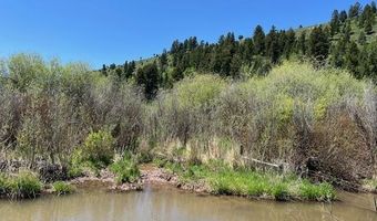 5002 FAIRVIEW SPG CRK Rd, Afton, WY 83110