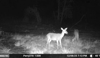 US Hwy 98, Beaumont, MS 39423