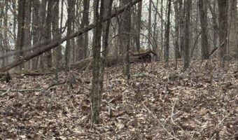14 Hopper Rd, Altoona, AL 35952