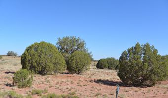 9234 N And 9218 Red Riv, Concho, AZ 85924