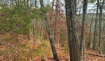 SPITZ Lane, Basye, VA 22810