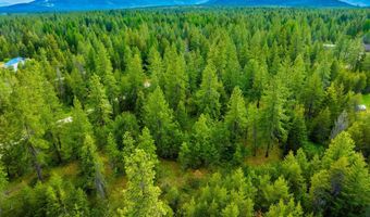 Nna Smoke Tree Ave, Athol, ID 83801
