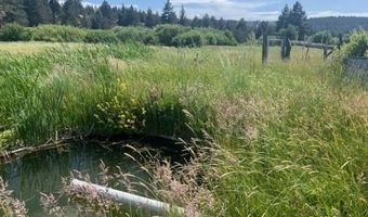 680-550 Butte Creek Rd, Adin, CA 96006