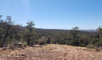 363 Big Vw, Ash Fork, AZ 86320