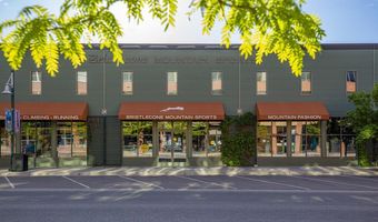 231 Robinson Street 330, Basalt, CO 81621