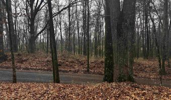 67 Old Wire Rd, Atkins, AR 72823