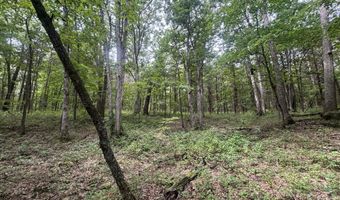 S HAGANS Road, Ashland, MO 65010