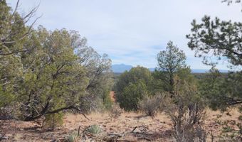 S2 Lot 92 Off Indian Springs, Ash Fork, AZ 86320