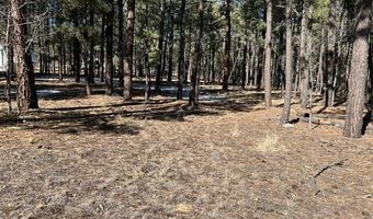 CR N2121, Alpine, AZ 85920