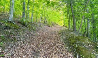868 Bulger Rd, Alkol, WV 25501