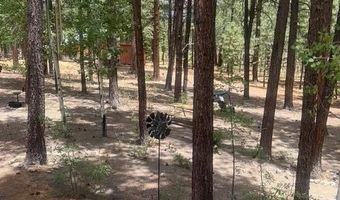 8 County Road 2083, Alpine, AZ 85920