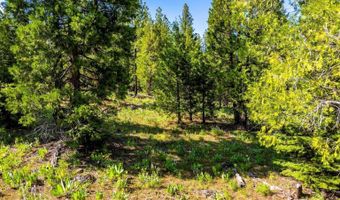 9454 Ridge Rd, Alturas, CA 96101