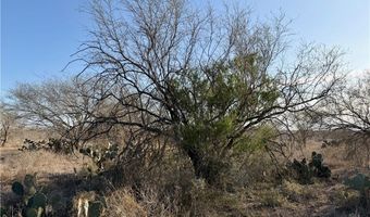 CR 119 lot 0, Alice, TX 78332