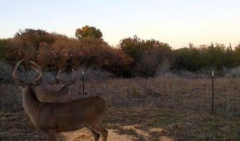 SE/4 10-14-17, Arapaho, OK 73620