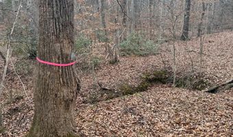 HARDWARE RD lot 2, Arvonia, VA 23004