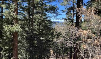 Back Basin Rd lot 156, Angel Fire, NM 87710
