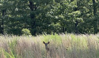 0 County Road 35, Clarkridge, AR 72623