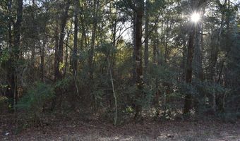 Lot 7 County Road 156, Enterprise, AL 36330