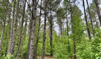 0020 Mount Carmel Rd, Bailey, MS 39320