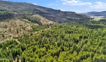 181 E Deer Meadow Ln, Blanchard, ID 83804